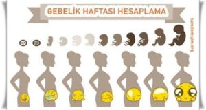8 Hafta Kaç Gün? Zaman Hesaplama Rehberi