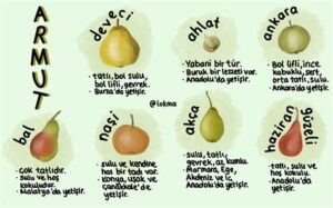 Armut Çeşitleri: Tatları ve Kullanım Alanlarına Göre İpuçları