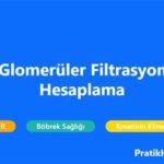 GFR Hesaplama: Böbrek Fonksiyonlarını Anlama