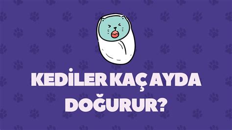 Köpek Kaç Aya Doğurur? Doğum Süreci ve Bakım