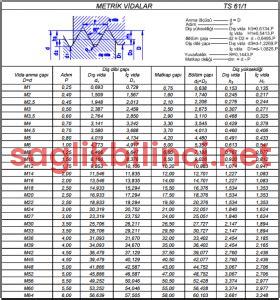 Metrik Diş Tablosu: Ağız Sağlığı İçin Önemli Bilgiler